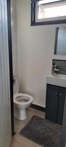 een badkamer met een toilet, een wastafel en een spiegel bij The Cwtch in Cardiff