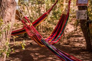 a hammock tied to a tree in the woods at Casa Voyage Hostel in San Pedro de Atacama