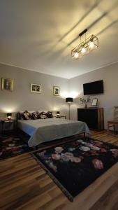 1 dormitorio con 1 cama, TV y alfombra en Hoffman Apartament, en Cracovia