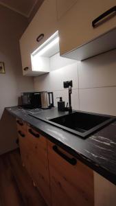 cocina con fregadero y encimera en Hoffman Apartament, en Cracovia