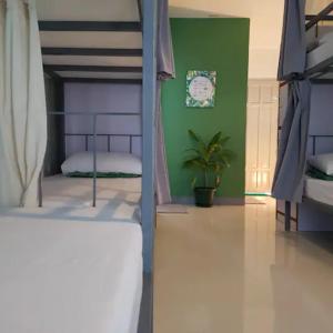 a bedroom with two bunk beds and a green wall at Green Turtle Backpackers Guesthouse, Puerto Princesa in Puerto Princesa City