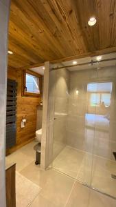 a bathroom with a glass shower with a toilet at Chalet Birdie in Le Grand-Bornand
