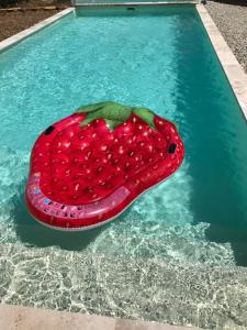un grand objet rouge dans l'eau d'une piscine dans l'établissement Le MAS du Paradis Bleu, à Saint-André-de-Cruzières