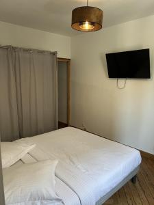 um quarto com 2 camas e uma televisão de ecrã plano em Appartement en bord de Seine em Rouen