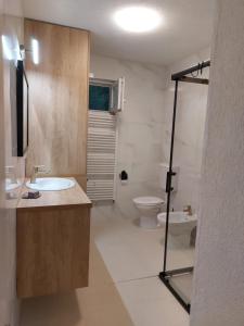 Čitluk的住宿－Guest House Planinic，一间带水槽和卫生间的浴室