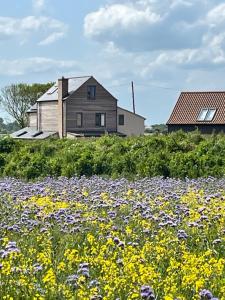 a house and a field of flowers in front of a house at The Top Floor in Stretham