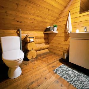 a bathroom with a toilet in a log cabin at Kundziņu salas in Vidriži