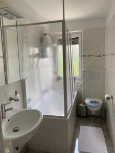 een badkamer met een douche, een wastafel en een toilet bij FeWo Ibis in Bottrop