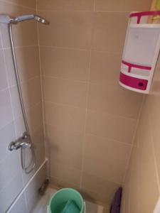 een badkamer met een douche, een toilet en een groene emmer bij Appartement Agadir Salam in Agadir