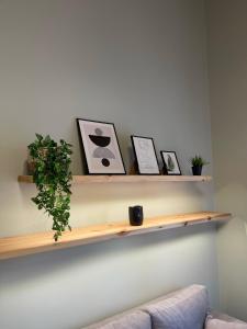 a shelf on a wall with pictures and a couch at Almeta Suites in Chios