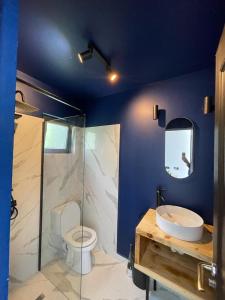 肯普隆格的住宿－Campolongo Tiny Chalet，浴室配有卫生间、淋浴和盥洗盆。