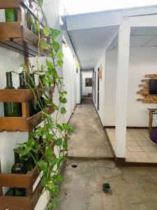 a hallway with a plant on the side of a building at 8 Habitaciones in Managua