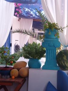 Kuvagallerian kuva majoituspaikasta Doron Hotel Delfini, joka sijaitsee kohteessa Naxos Chora