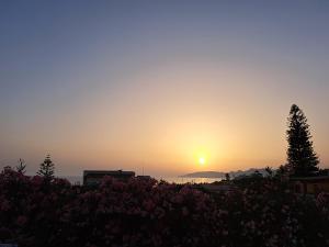 um pôr-do-sol sobre o oceano com uma árvore e flores em La Villa di Eracle em Licata
