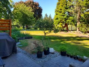 a garden with potted plants on a patio at Lovely 1 Bedroom Suite Near Town in Victoria