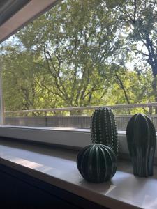 two cactuses sitting on a window sill in front of a window at Stylish Loft in Milan Mi-CoFiera-CityLife in Milan