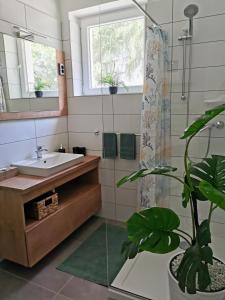 歐爾菲的住宿－Life Apartman Orfű，浴室设有水槽、镜子和植物