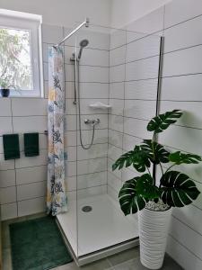 baño con ducha y maceta en Life Apartman Orfű, en Orfű