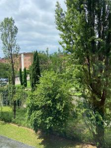 Príroda v okolí apartmánu