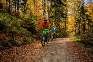 two people riding bikes on a trail in the woods at Chata Vikinka - dovolená v přírodě 