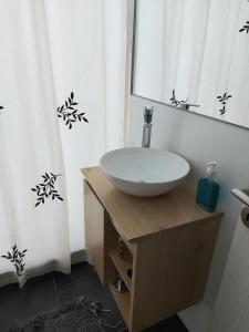 a bathroom with a sink and a mirror and a shower curtain at GRATA NERA in Rosario