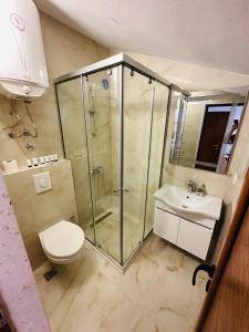 a bathroom with a shower and a toilet and a sink at Luxury Villa Ulcinj in Ulcinj