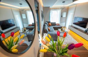 Et tv og/eller underholdning på The Alpinist