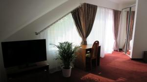 een woonkamer met een flatscreen-tv en een plant bij Penzion Lapáš u Hoffera in Nitra