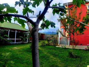a tree in the yard of a house at Villa ELO in Kebele in Gabala