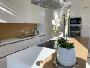 a white kitchen with a vase with flowers in it at Albrecht108 in Berlin