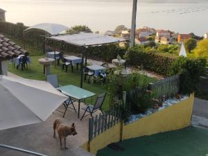 un perro parado en un patio con mesas y sombrillas en Vilar Norte, en Bueu