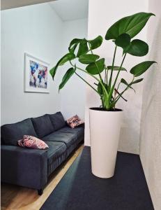 un salon avec un canapé et une plante en pot dans l'établissement Apartment ORY 2 between the beach and city center, à Pula