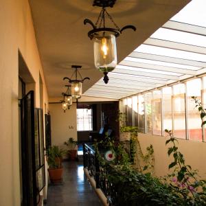 a hallway with potted plants and a ceiling with lights at ROSA BARROCO in Morelia