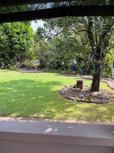 a park with a tree in the grass at Mi Casita in Graskop