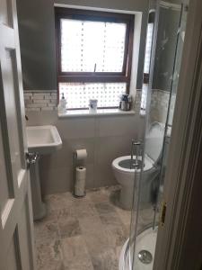 La salle de bains est pourvue de toilettes, d'un lavabo et d'une fenêtre. dans l'établissement The Fairways, CastleBlayney, à Castleblayney