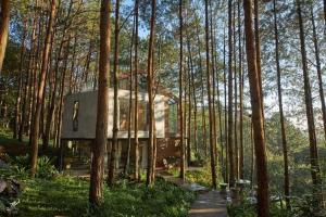 a house in the middle of a forest at Les Rêveurs Dalat in Xuan An