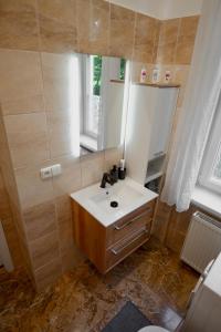 a bathroom with a sink and a mirror at Vila Antonio in Prague