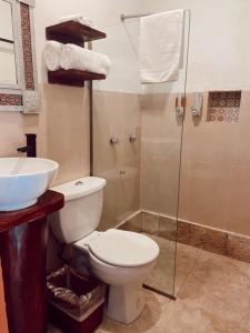 y baño con aseo, lavabo y ducha. en Real Haciendas, en Valladolid