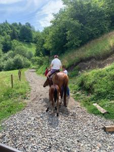 a couple of people riding horses down a dirt road at VIP-Domyk in Rakhiv