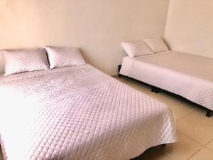 Postel nebo postele na pokoji v ubytování Hospedaje Casa Lola