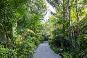 a walkway through a tropical garden with palm trees at The Alantara Sanur in Sanur