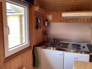 małą kuchnię ze zlewem i oknem w obiekcie Holiday home BROMÖLLA w mieście Bromölla