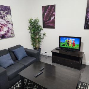 sala de estar con sofá y TV en City Villa 41 Blende st Broken Hill NSW 2880 en Broken Hill