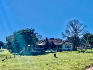una casa en un campo con un perro delante en Bally Patrick Homestead, Merrijig, en Merrijig