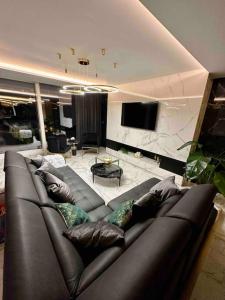ein Wohnzimmer mit einem Ledersofa und einem TV in der Unterkunft Luxury apartment Betina in Betina