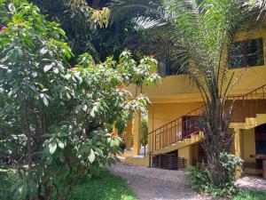 a building with a palm tree in front of it at Boli Boli Guesthouse in Sere Kunda