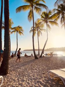 a man walking on a beach with palm trees at Villa bois rose in Petit-Bourg