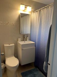 een badkamer met een toilet, een wastafel en een spiegel bij LUXURY Guayabita's House in Miami