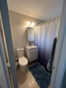 een badkamer met een toilet, een wastafel en een spiegel bij LUXURY Guayabita's House in Miami
