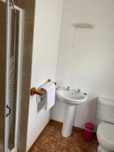 een badkamer met een wastafel, een douche en een toilet bij Ger's in Galway